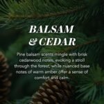 Yankee Candle Scented Candle | Balsam & Cedar Large Jar | Long Burning Candles: up to 150 Hours | Perfect Christmas Gifts for Women - Image 9